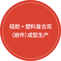 Silicon + Plastic 결합 2중(인서트) 생산